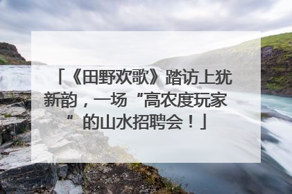 《田野欢歌》踏访上犹新韵，一场“高农度玩家”的山水招聘会！