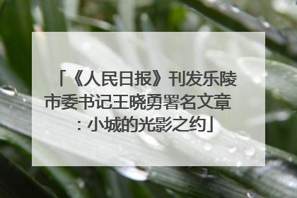 《人民日报》刊发乐陵市委书记王晓勇署名文章：小城的光影之约