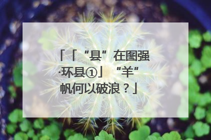 「“县”在图强·环县①」“羊”帆何以破浪？