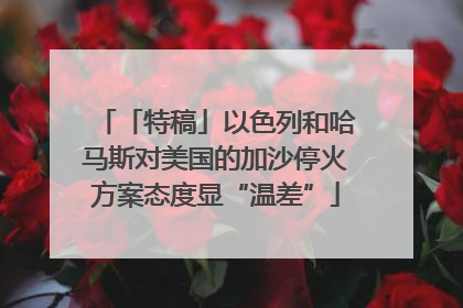 「特稿」以色列和哈马斯对美国的加沙停火方案态度显“温差”