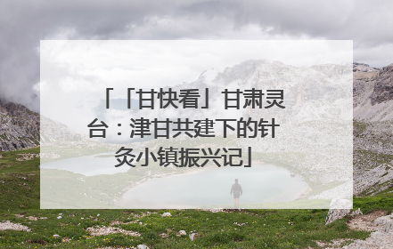 「甘快看」甘肃灵台：津甘共建下的针灸小镇振兴记