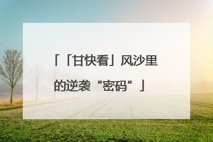 「甘快看」风沙里的逆袭“密码”