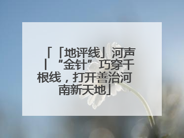 「地评线」河声丨“金针”巧穿千根线，打开善治河南新天地