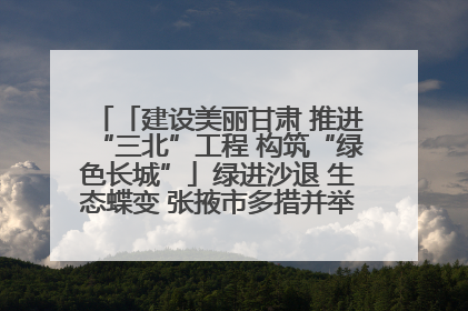 「建设美丽甘肃 推进“三北”工程 构筑“绿色长城”」绿进沙退 生态蝶变 张掖市多措并举加大防沙治沙力度