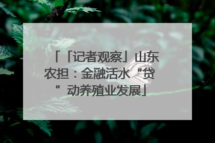 「记者观察」山东农担：金融活水“贷”动养殖业发展