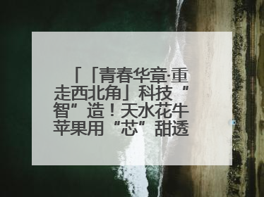「青春华章·重走西北角」科技“智”造！天水花牛苹果用“芯”甜透你的味蕾