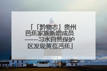 「黔物志」贵州芭蕉家族新增成员——习水自然保护区发现黄苞芭蕉