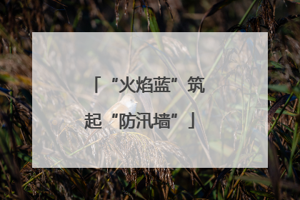 “火焰蓝”筑起“防汛墙”