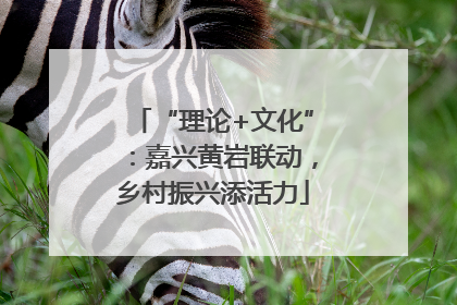 “理论+文化”：嘉兴黄岩联动，乡村振兴添活力