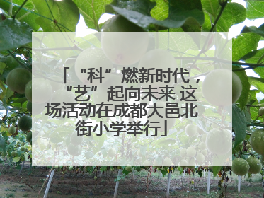 “科”燃新时代，“艺”起向未来 这场活动在成都大邑北街小学举行