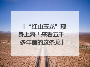 “红山玉龙”现身上海！来看五千多年前的这条龙