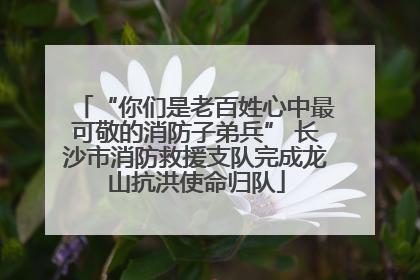 “你们是老百姓心中最可敬的消防子弟兵” 长沙市消防救援支队完成龙山抗洪使命归队