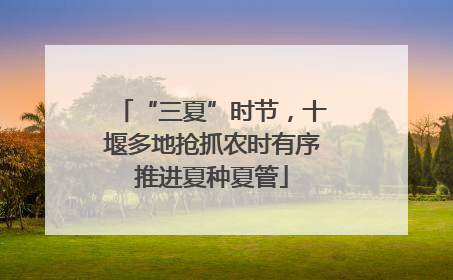 “三夏”时节，十堰多地抢抓农时有序推进夏种夏管