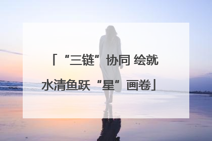 “三链”协同 绘就水清鱼跃“星”画卷