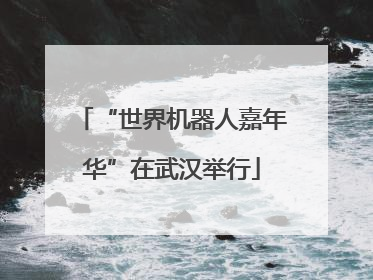 “世界机器人嘉年华”在武汉举行