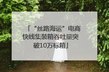 “丝路海运”电商快线集装箱吞吐量突破10万标箱