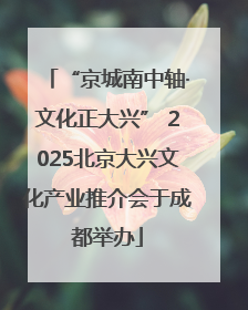“京城南中轴·文化正大兴” 2025北京大兴文化产业推介会于成都举办