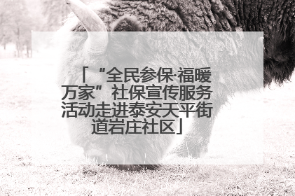 “全民参保·福暖万家”社保宣传服务活动走进泰安天平街道岩庄社区