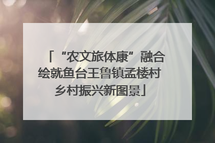 “农文旅体康”融合绘就鱼台王鲁镇孟楼村乡村振兴新图景