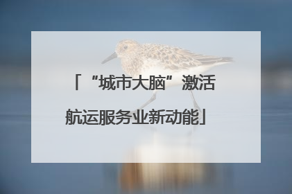 “城市大脑”激活航运服务业新动能