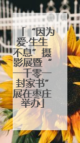 “因为爱·生生不息”摄影展暨“一千零一封家书”展在枣庄举办