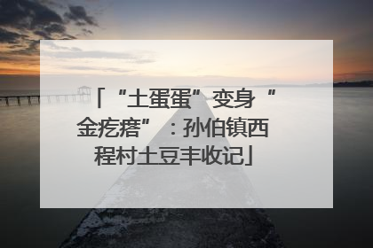 “土蛋蛋”变身“金疙瘩”：孙伯镇西程村土豆丰收记
