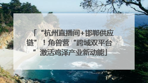 “杭州直播间+邯郸供应链”！角兽营“跨域双平台”激活鸡泽产业新动能
