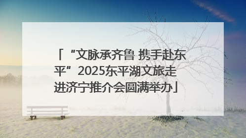 “文脉承齐鲁 携手赴东平”2025东平湖文旅走进济宁推介会圆满举办