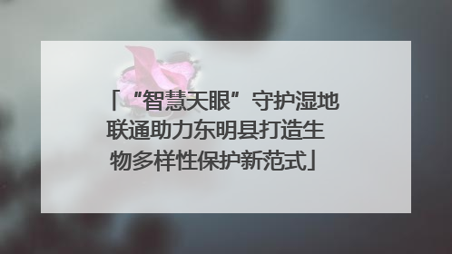“智慧天眼”守护湿地 联通助力东明县打造生物多样性保护新范式