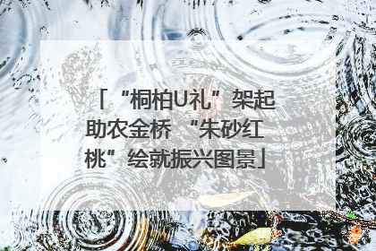 “桐柏U礼”架起助农金桥 “朱砂红桃”绘就振兴图景