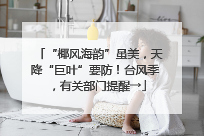 “椰风海韵”虽美，天降“巨叶”要防！台风季，有关部门提醒→
