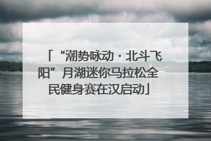 “潮势咏动・北斗飞阳”月湖迷你马拉松全民健身赛在汉启动