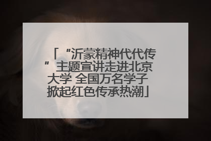 “沂蒙精神代代传”主题宣讲走进北京大学 全国万名学子掀起红色传承热潮