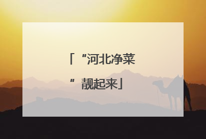 “河北净菜”靓起来