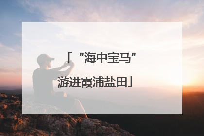 “海中宝马”游进霞浦盐田