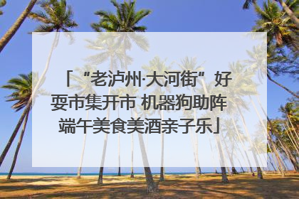 “老泸州·大河街”好耍市集开市 机器狗助阵端午美食美酒亲子乐