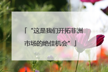“这是我们开拓非洲市场的绝佳机会”