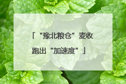 “豫北粮仓”麦收跑出“加速度”
