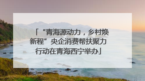 “青海源动力，乡村焕新程”央企消费帮扶聚力行动在青海西宁举办