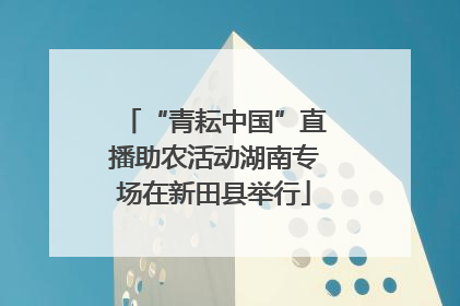“青耘中国”直播助农活动湖南专场在新田县举行