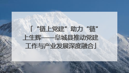 “链上党建”助力“链”上生辉——阜城县推动党建工作与产业发展深度融合