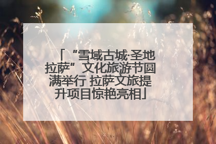 “雪域古城·圣地拉萨”文化旅游节圆满举行 拉萨文旅提升项目惊艳亮相