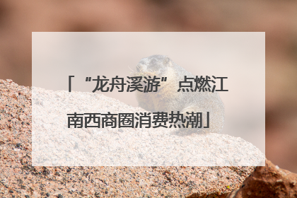 “龙舟溪游”点燃江南西商圈消费热潮