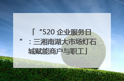 “520 企业服务日”：三湘南湖大市场灯石城赋能商户与职工