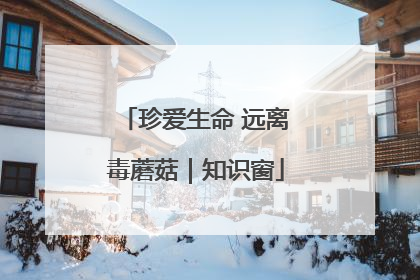 珍爱生命 远离毒蘑菇｜知识窗