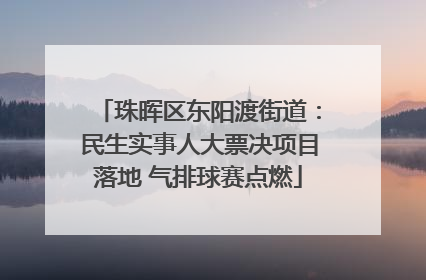 珠晖区东阳渡街道：民生实事人大票决项目落地 气排球赛点燃