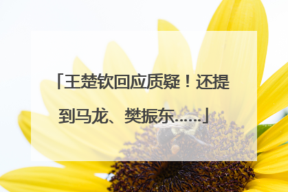 王楚钦回应质疑！还提到马龙、樊振东……