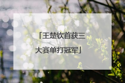 王楚钦首获三大赛单打冠军