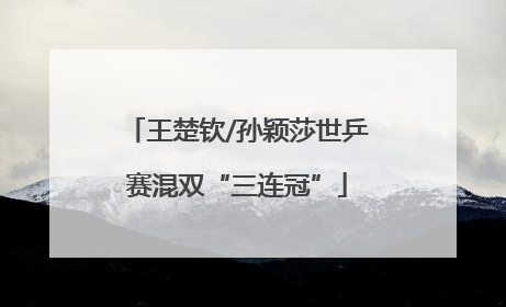 王楚钦/孙颖莎世乒赛混双“三连冠”