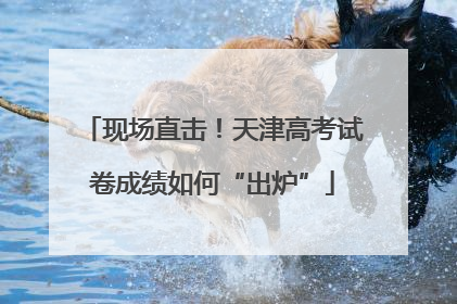 现场直击！天津高考试卷成绩如何“出炉”